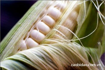 Những nước uống đẹp da, giữ dáng Những nước uống đẹp da, giữ dáng