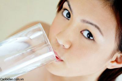cao bí đao ở tại ninh bình cao bí đao ở tại ninh bình