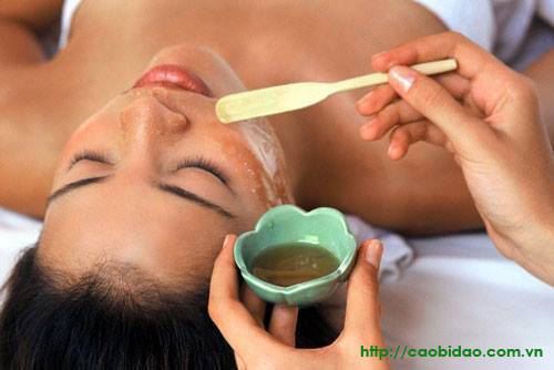 Cao bí đao tại Lào Cai Cao bi dao tai lao cai