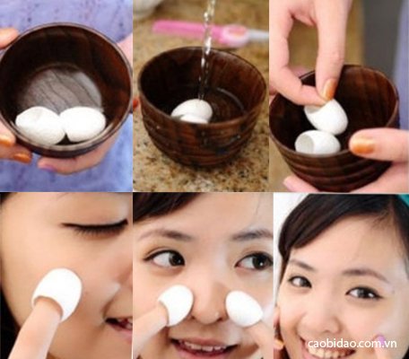 kén tằm tại TPHCM ken tam tai tphcm