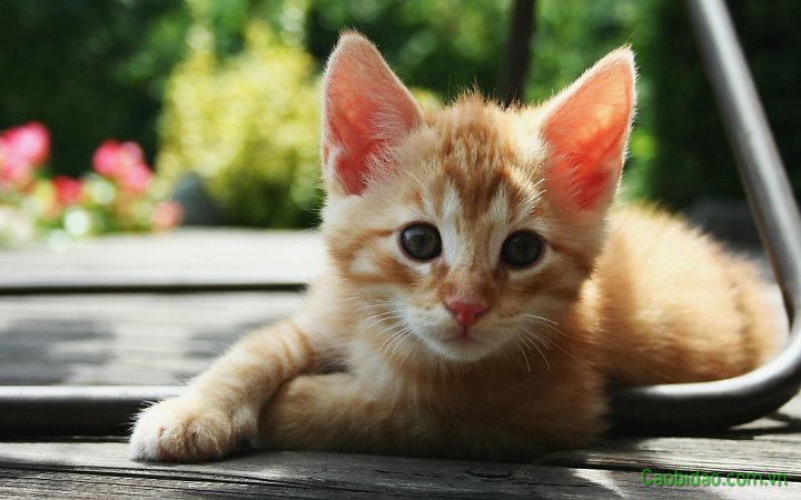 Trời hôm ni đẹp Trời hôm ni đẹp