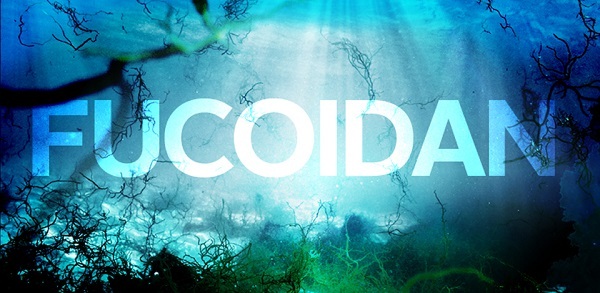 FUCOIDAN là hợp chất phòng chống ung thư FUCOIDAN hợp chất phòng chống ung thư