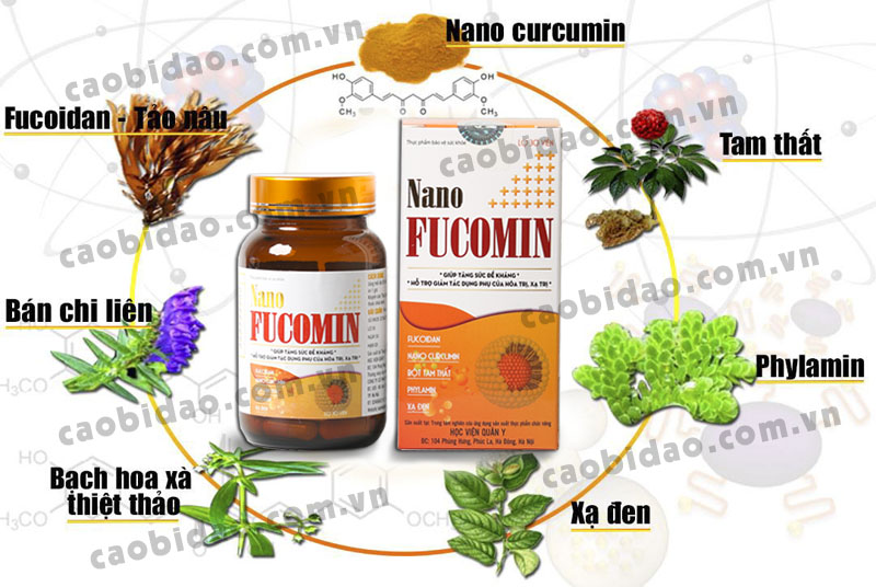 Thành phần Nano Fucomin Học Viện Quân Y Thành phần Nano Fucomin Học Viện Quân Y