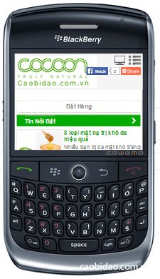 cao bí đao chạy trên BlackBerry