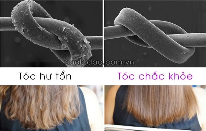 Tóc hư tổn và tóc chắc khỏe Tóc hư tổn và tóc chắc khỏe