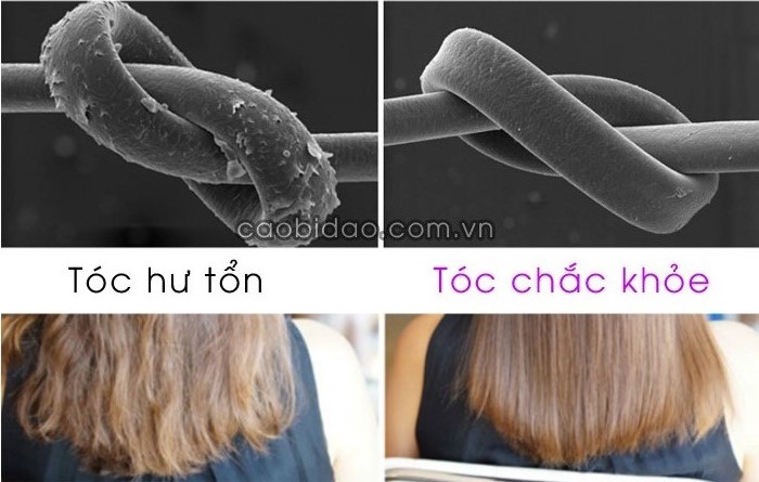 Tóc hư tổn và tóc chắc khỏe