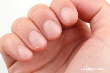 Những thói quen gây hại cho sức khỏe mà ai cũng mắc phải Những thói quen gây hại cho sức khỏe mà ai cũng mắc phải
