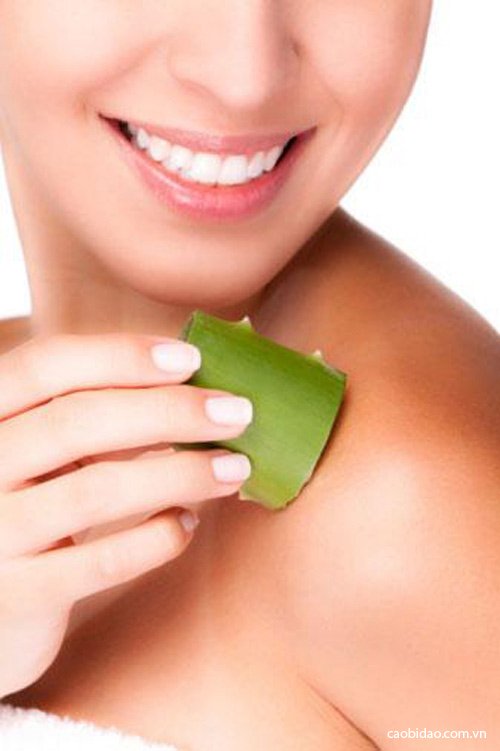 Cây cảnh cũng có tác dụng làm đẹp Cây cảnh cũng có tác dụng làm đẹp