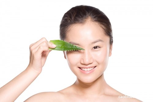 Cây cảnh cũng có tác dụng làm đẹp Cây cảnh cũng có tác dụng làm đẹp