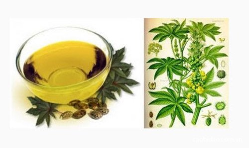 Trả lại mái tóc huyền óng ả cho phái đẹp Trả lại mái tóc huyền óng ả cho phái đẹp