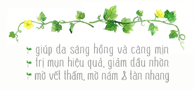 Công dụng cao bí đao cong dung cao bi dao
